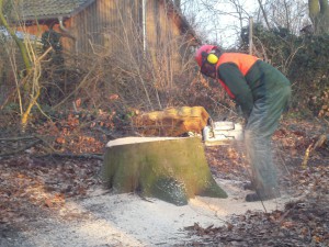 Hier sägt Herr Walter die erste Baumscheibe