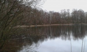 20150210_171446